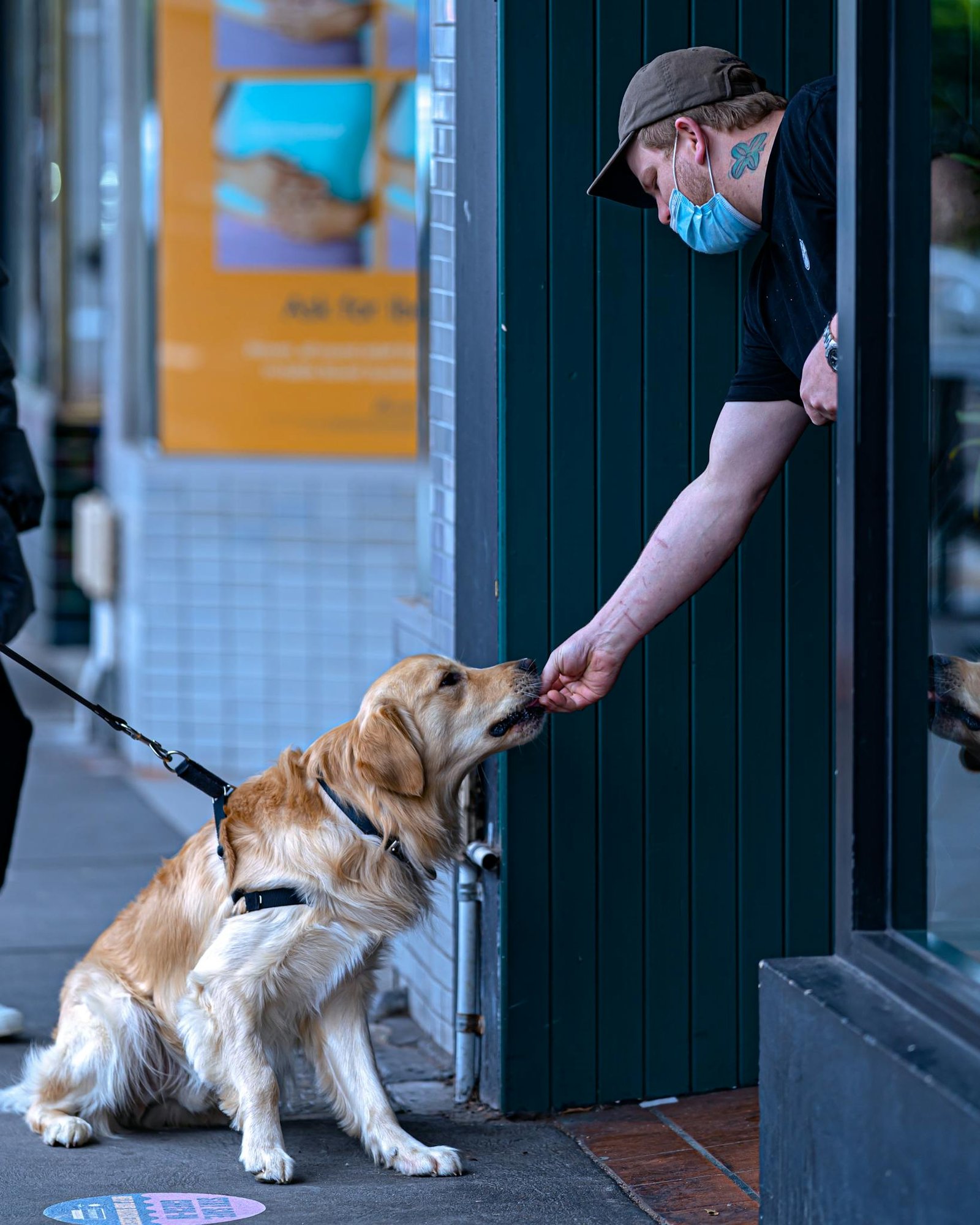 A man wearing a mask feeds a golden retriever on a city sidewalk.