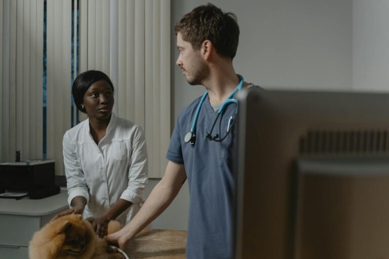 Two veterinarians in a clinic attentively caring for a dog during an exam.